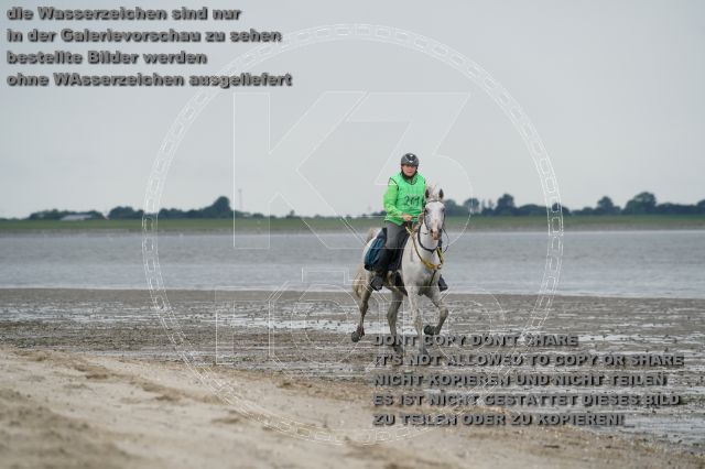 s_K3F04672.JPG